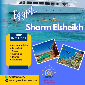 Family Tour Cairo & Sharm El Sheikh 7 Days / 6 Nights