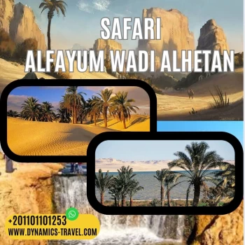 Cairo. Fayum Oasis 4*4 Desert Safari, Sand Surf, Waterfall Tour