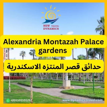 Private Day tour to Alexandria from Cairo