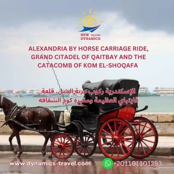 ALEXANDRIA BY HORSE CARRIAGE RIDE, GRAND CITADEL OF QAITBAY AND THE CATACOMB OF KOM EL-SHOQAFA